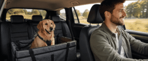 Pets no carro