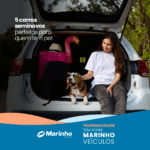 5 carros seminovos ideais para quem tem pet e ama viajar junto