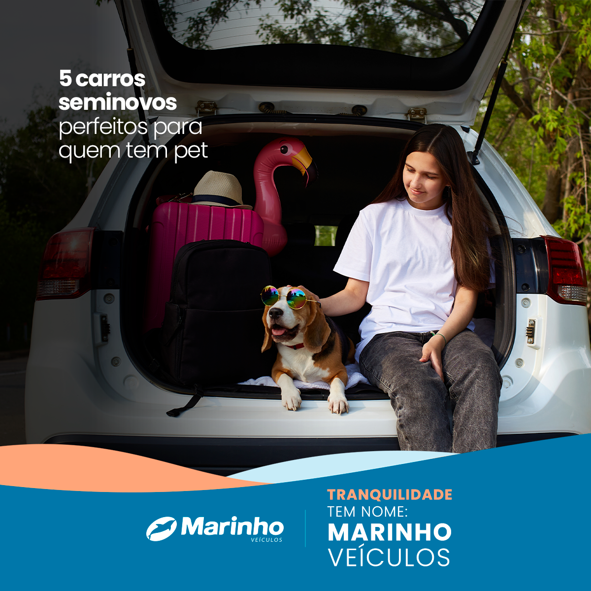 5 carros seminovos ideais para quem tem pet e ama viajar junto